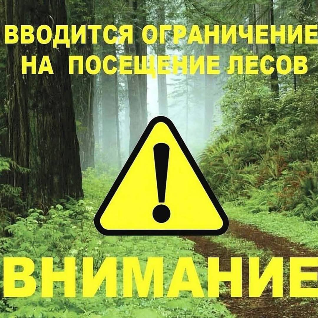 images/2025/новости/21-05-021.jpg
