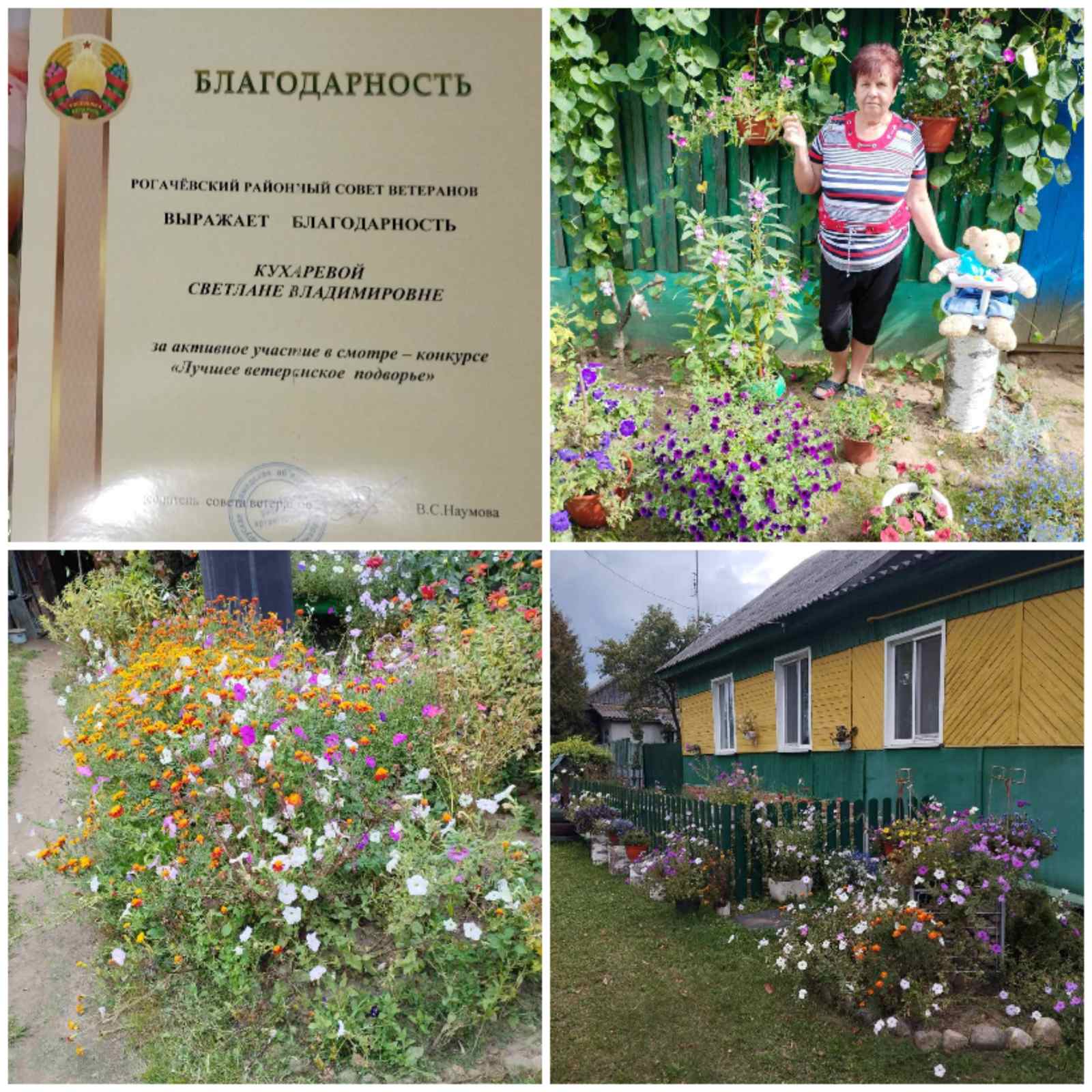 изображение viber 2026 10 02 15 32 12 844