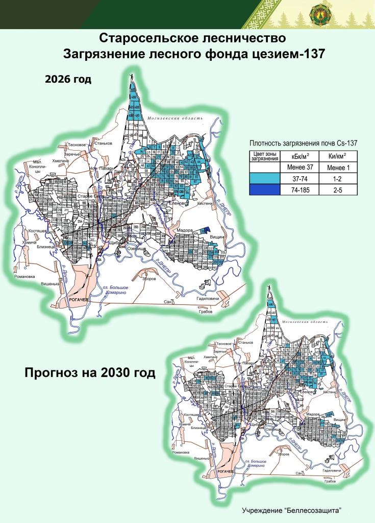 Старосельское лесничество 