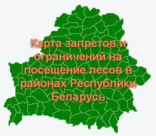 Карта запретов на посещение лесов в беларуси на сегодня